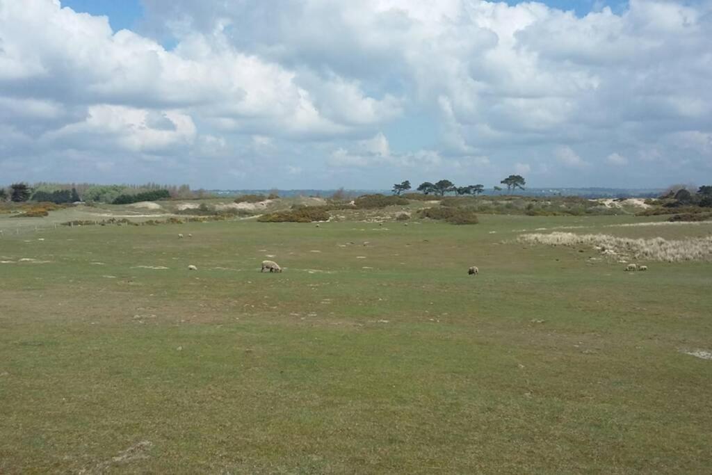 Gite Ouest De La Pointe D'Agon ภายนอก รูปภาพ